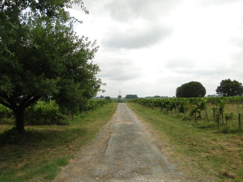 Chateau Monichot Organic Vineyard Tauriac  Exterior foto